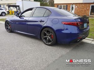 Alfa Romeo Giulia Lowering Springs - 2.0L - MADNESS - Sport